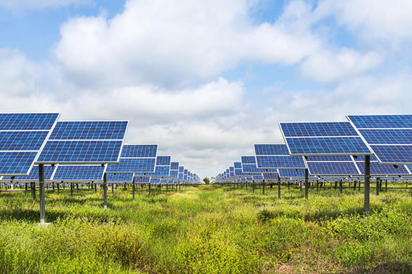 Installation de panneaux solaires au sol : quelles sont les conditions à remplir