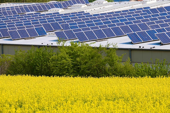 La rentabilisation des bâtiments photovoltaïques : l’ultime étape vers la réussite