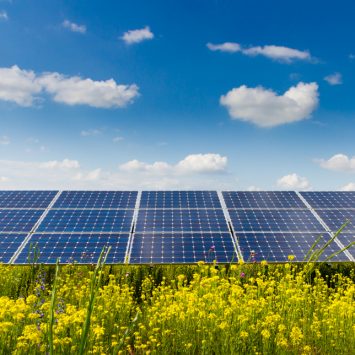 mise-en-place-panneau-photovoltaique-champs-agricole