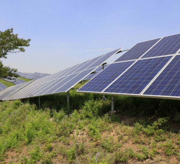 Installation-de-panneaux-solaires-sur-des-terrains-pollués