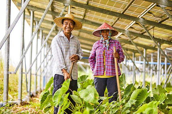 Quels sont les avantages de l’agrivoltaïque ?