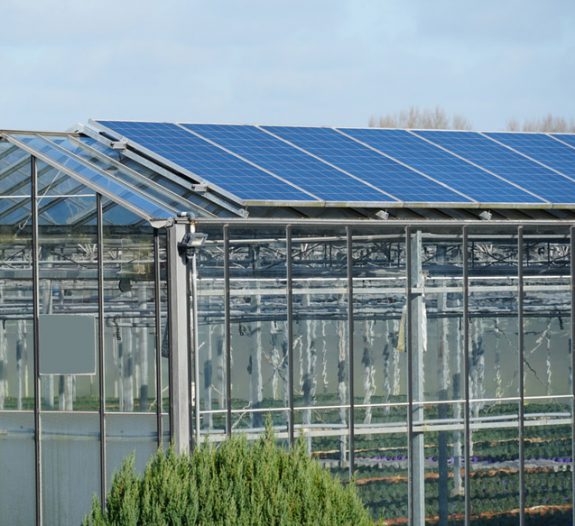 Serres-photovoltaïques-pour-agriculteurs