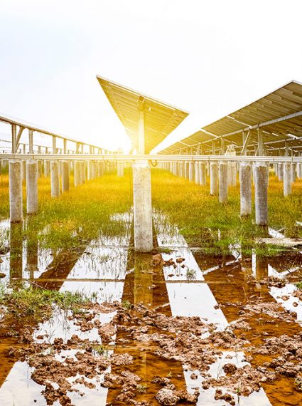 agrivoltaisme-panneau-solaire-culture-agricole