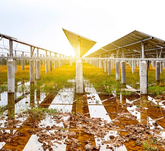 agrivoltaisme-panneau-solaire-culture-agricole