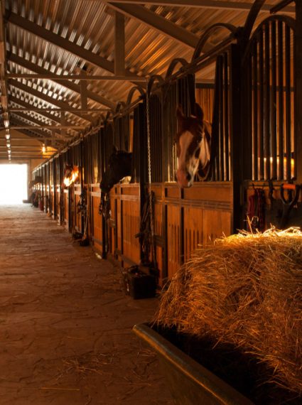 centre-equestre-solaire-panneau-photovoltaique-colibri-solar