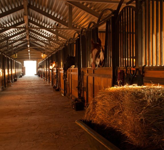 centre-equestre-solaire-panneau-photovoltaique-colibri-solar