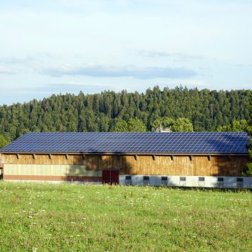 écurie-photovoltaique-installation-panneau-solaire