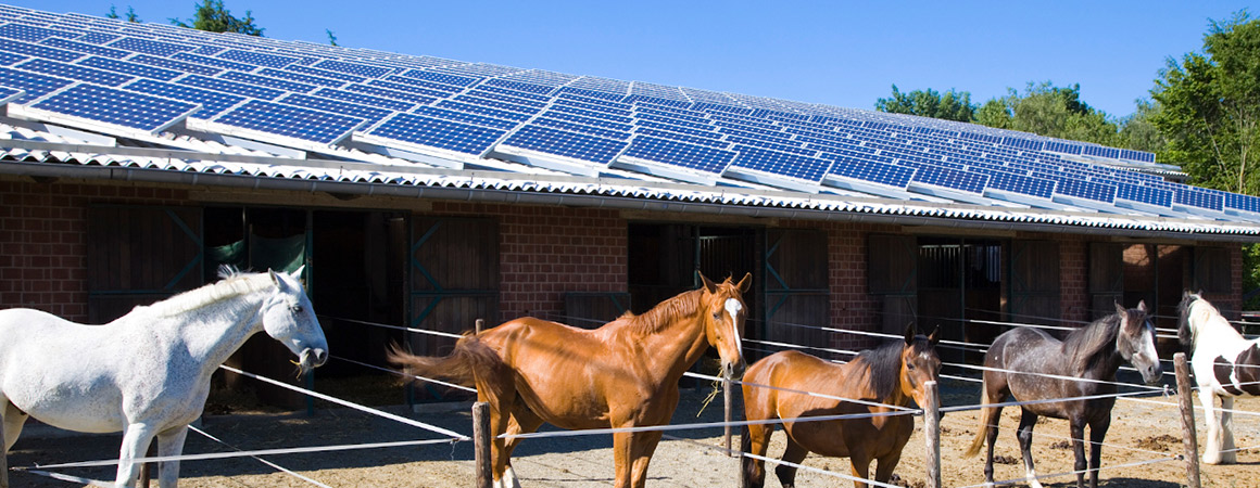 Manège-equestre-photovoltaïque