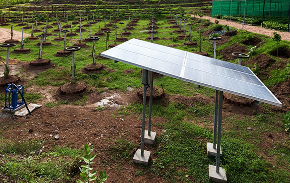 Agriculture et énergie solaire : un duo gagnant