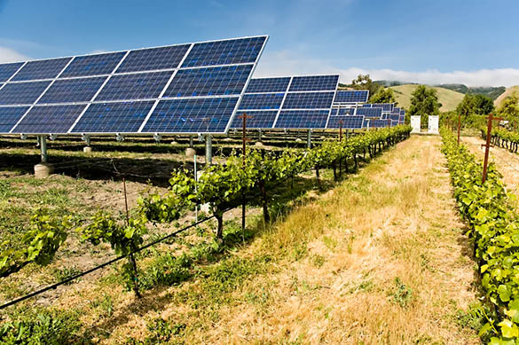 L’essentiel à savoir sur l’énergie solaire en agriculture