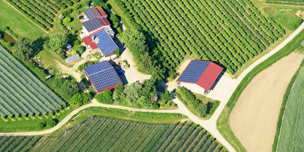 Les solutions photovoltaïques pour agriculteurs : comment répondre à chaque besoin tout en adaptant le projet de centrale solaire ?