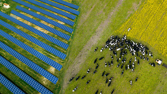 Les bâtiments agricoles photovoltaïques