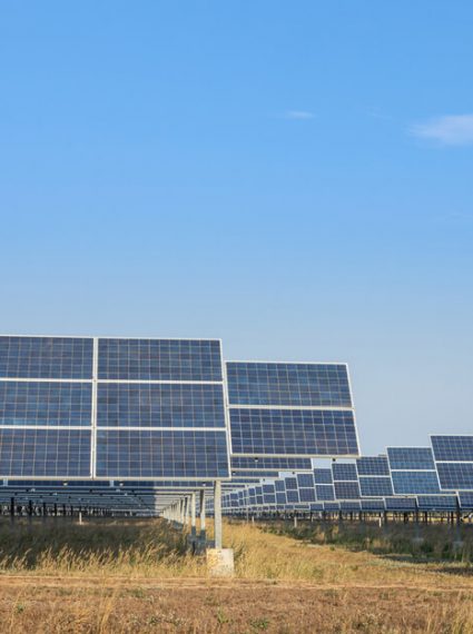 production-énergie-photovoltaïque-sol-agricole