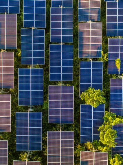 tout-savoir-sur-ferme-photovoltaïque