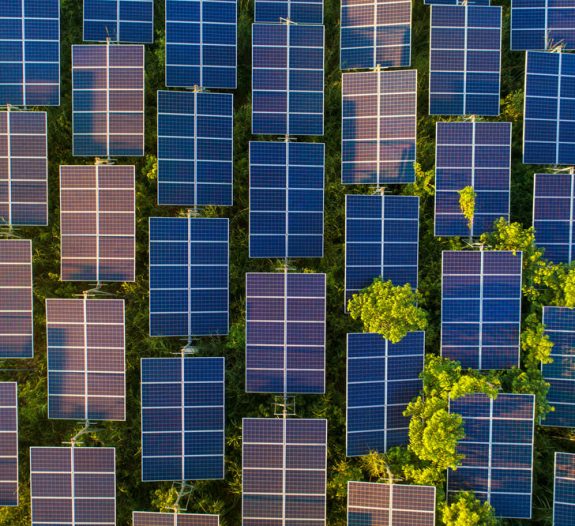 tout-savoir-sur-ferme-photovoltaïque