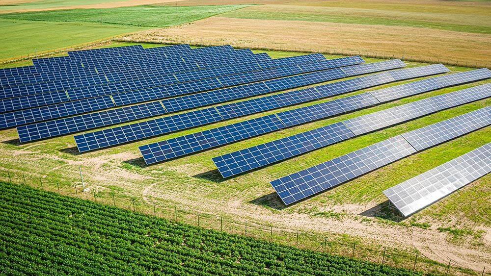 Des panneaux solaires sur un terrain agricole