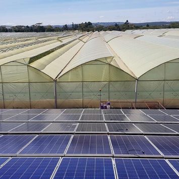 Panneau-solaire-sur-terrain-agricole-rentabilité