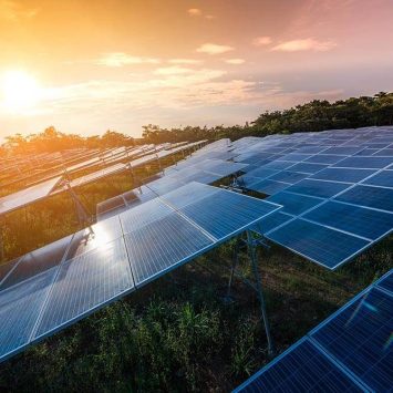 Panneau-solaire-au-sol-sur-terrain-agricole-les-réalités