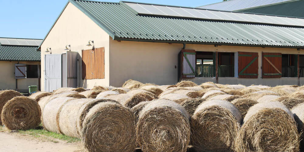 Comment se faire accompagner dans la construction de son manège équestre photovoltaïque ?