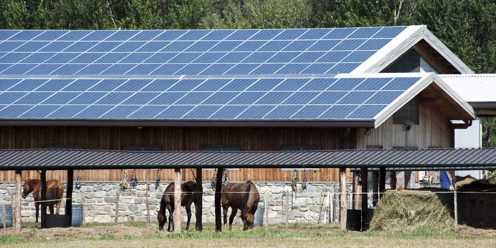 Quelles sont les spécificités d’un centre équestre photovoltaïque ?