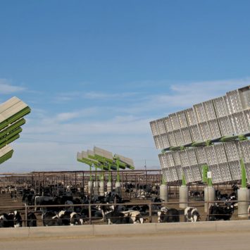 agrïvoltaisme-sans-danger-pour-agrivoltaïsme