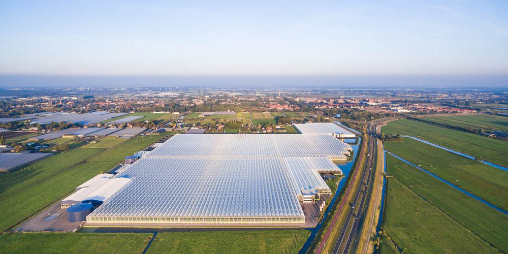 Installer une centrale solaire sur le toit d’un bâtiment professionnel