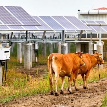 Ferme solaire