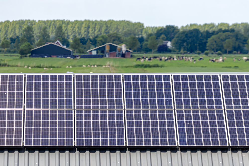 Tuiles solaires ou panneaux photovoltaïques  deux options vertes