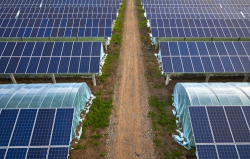 Serres photovoltaïques : une structure faite pour durer