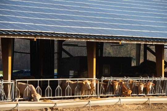 Les étapes d’une construction de ferme photovoltaïque