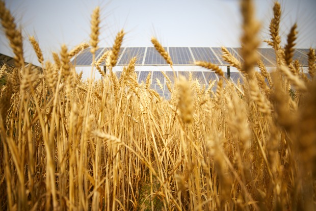 placement d'un photovoltaïque agricole