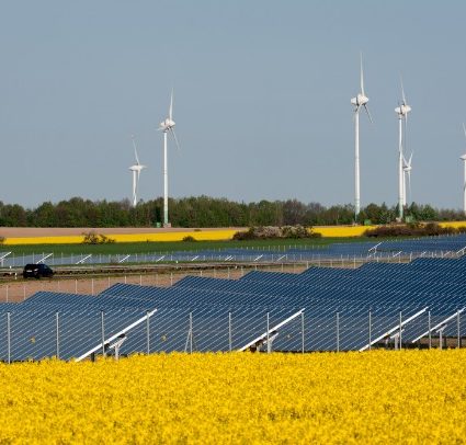 Le champ solaire une alternative pour obtenir des revenus complémentaires gratuitement