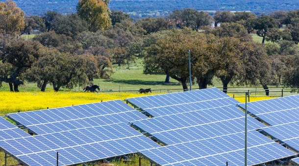 la centrale photovoltaïque