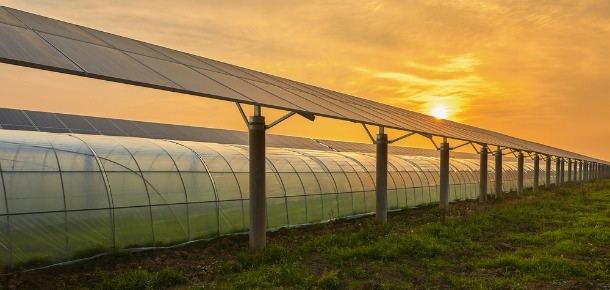 Pourquoi le photovoltaïque s’accorde bien avec le domaine agricole ?