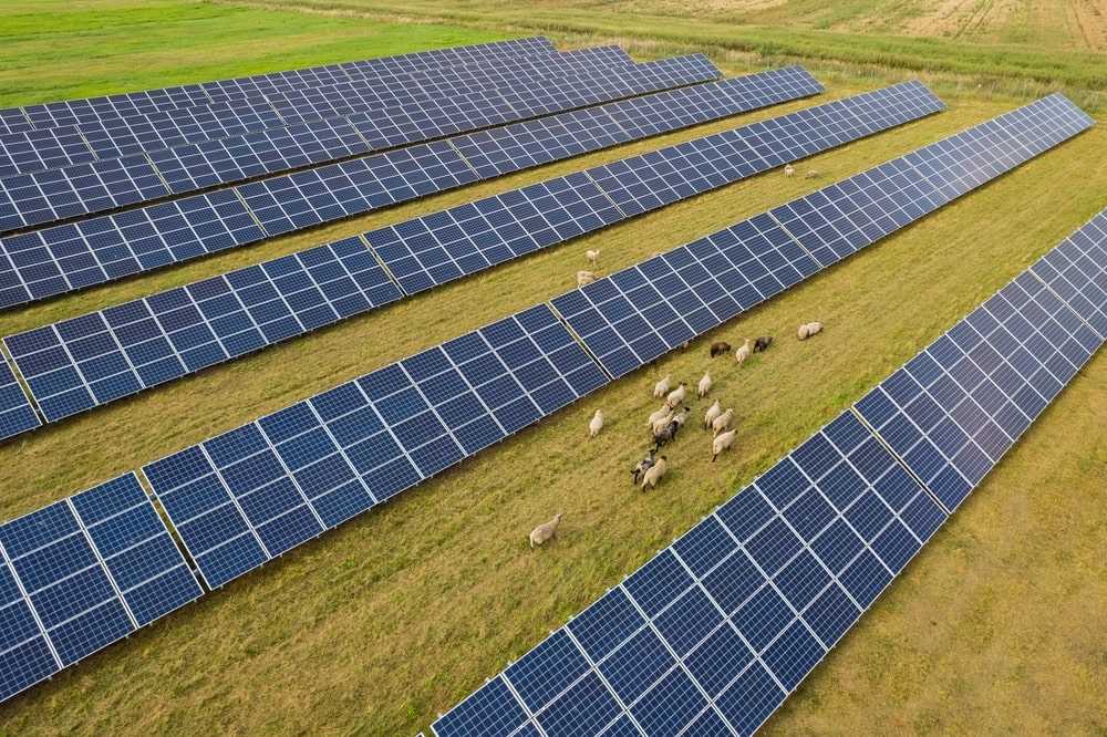 L'énergie solaire dans l'agriculture