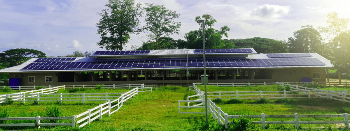 Les centrales solaires sur toiture