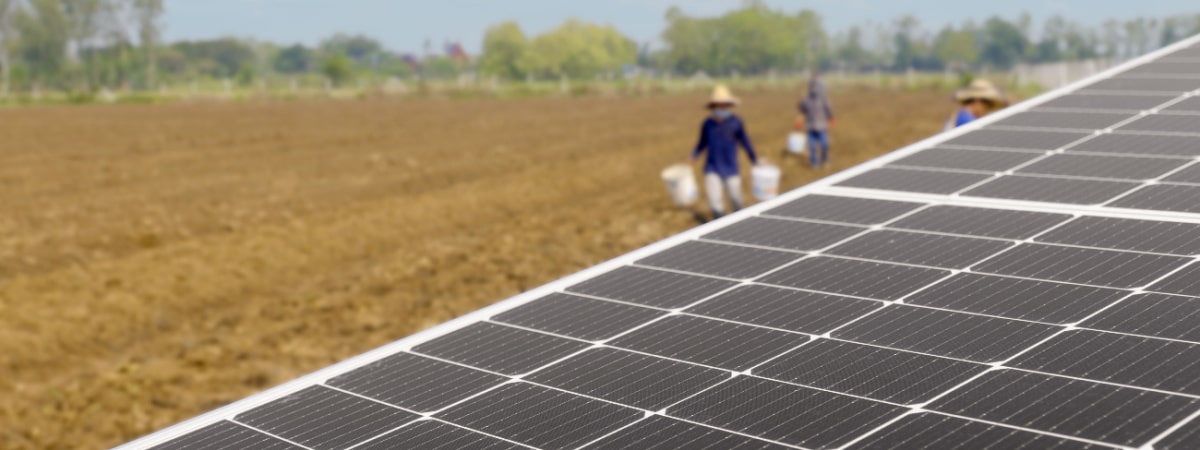 L’Asie se tourne également vers l’agrivoltaïsme