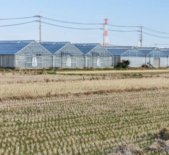 La structure des ombrières solaires agricoles