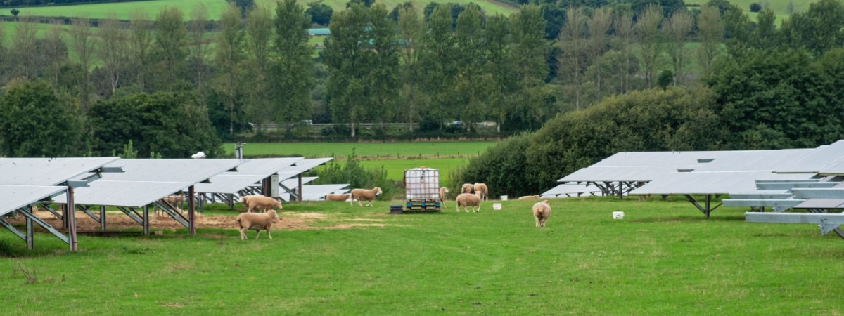 Défis et risques associés à l’agrivoltaïsme